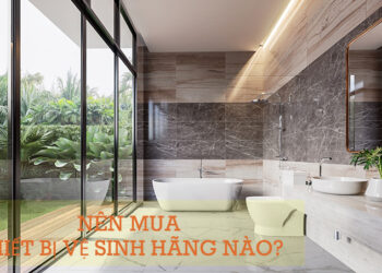 Nên mua thiết bị vệ sinh hãng nào 5